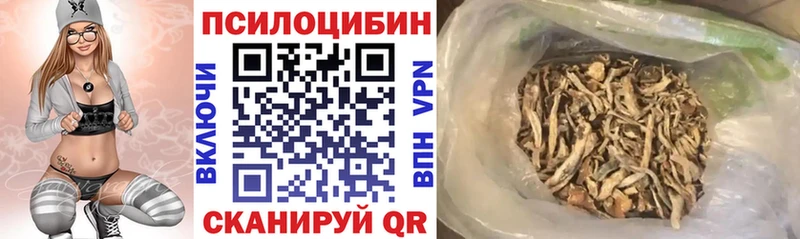 Псилоцибиновые грибы ЛСД  Купить закладки  Луза 